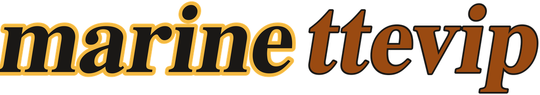marinettevip logo